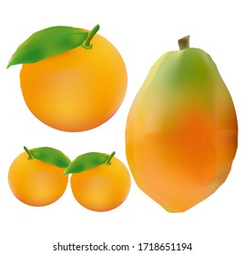 Diseño vectorial de papaya y tres naranjas