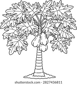 papaya tree fruit coloring page line art drawing