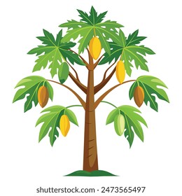 árbol de papaya con fondo blanco 