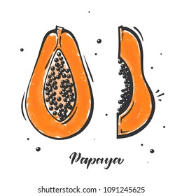 Papaya tropical fruit in doodle style