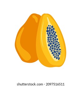Papaya. Tropical fruit and graphic design elements. Ingredients color cliparts. Sketch style smoothie or juice ingredients.