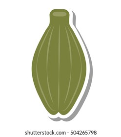 papaya tropical fruit icon vector illustration design