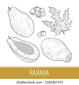 Papaya. Tropical Fruit, morsel, leaf. Monochrome. Sketch. Set