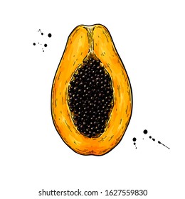 Papaya Drawing Images Stock Photos Vectors Shutterstock