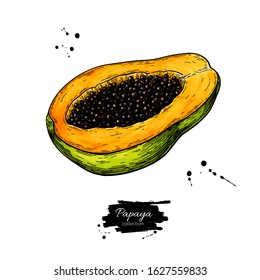 Papaya vector drawing. Hand drawn tropical fruit illustration. Sliced objects with seeds. Botanical vintage sketch for label, juice packaging design, menu