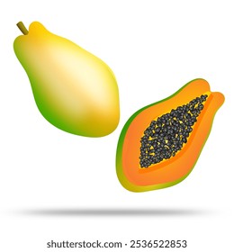 Papaya vector. Fruit isolated on white. Healthy food illustration.