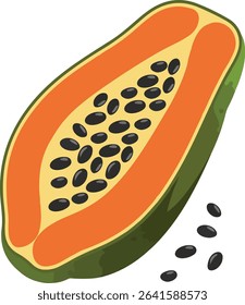 Papaya vector icon. Papaya symbols for your web design.