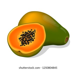 Papaya. Vector illustration.