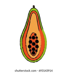 papaya vector illustration