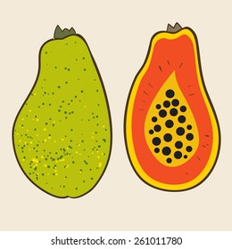 Papaya, vector Illustration. Exotic fruit. Hand-drawn style.