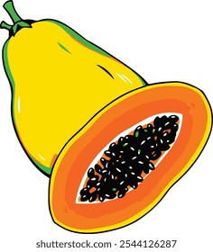 Papaya Vector illustration healthy fruit 
