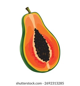 Papaya, Ilustración vectorial. Aspectos destacados, sombras, diseño vibrante.