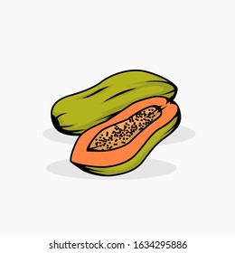 Papaya vector illustration isolated for all purpose