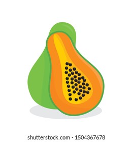 Papaya vector illustration isolated on white background. Papaya fruit clip art