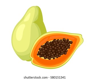 Papaya vector illustration Isolated on white background.