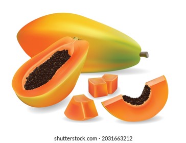 papaya, ilustración vectorial de una pieza de papaya