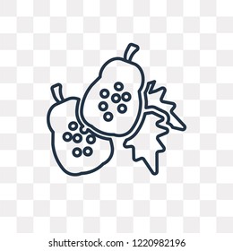 Papaya vector outline icon isolated on transparent background, high quality linear Papaya transparency concept can be used web and mobile