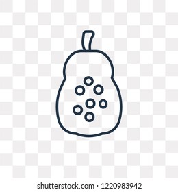 Papaya vector outline icon isolated on transparent background, high quality linear Papaya transparency concept can be used web and mobile