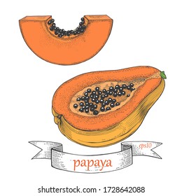 Papaya vector set. Slice and half. Tropical fruit isolated on a white background. Graphics and color.