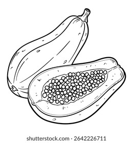 Papaya, whole and half, outline vector illustration isolated on white background, eps10