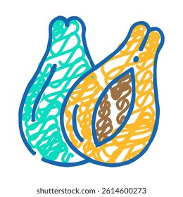 papayas fruit doodle icon sketch vector. papayas fruit sign. isolated symbol illustration