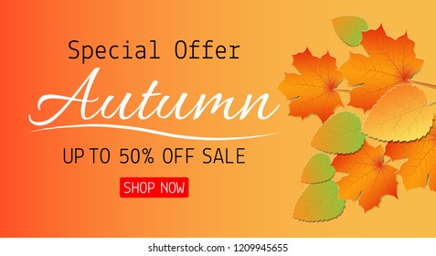 Paper art of Autumn sale background with maple leaf for shopping promotion. Vector illustration