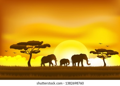 Paper art and digital craft style of world elephant Day , elephant in the grass sunrise , Vector illustration.