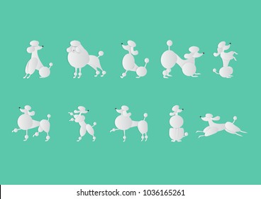 Paper art vector illustration of white poodle dogs silhouetted on soft green color background with shadows.