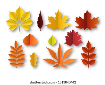 Paper Autumn Leaves. Beautiful Fall Colourful Foliage. Orange, Red And Yellow Papercut Leaf Decoration Isolated Vector Cut Season Plant Elements