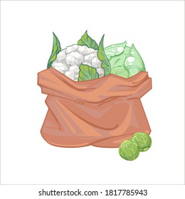 Una bolsa de papel llena de col, coliflor, bruselas brotan. Bolsa de lona con col. Hortalizas orgánicas. ilustración vectorial dibujada a mano aislada en fondo blanco. Bolsas de iconos con verduras.