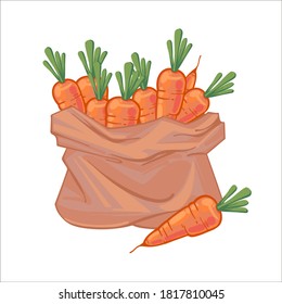 Paper bag full of juicy ripe orange carrots. Canvas bag with carrots. Organic vegetables. hand drawn vector illustration isolated on white background. Icons bags with vegetables.