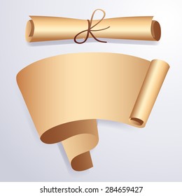Paper Banner Set : Vector Illustration