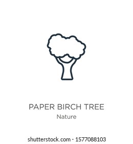 Paper birch tree icon. Thin linear paper birch tree outline icon isolated on white background from nature collection. Line vector sign, symbol for web and mobile