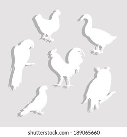 Paper Birds Set