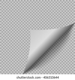 Paper blank page curl with shadow. Book's Page