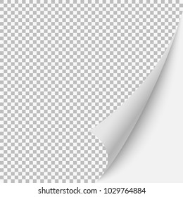 Paper blank page curled corner with shadow. Vector template illustration for your design