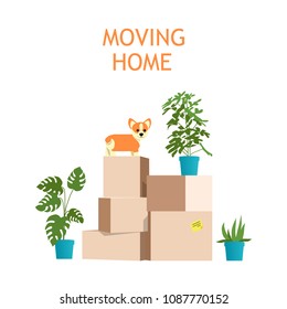 Paper boxes with plants and corgi dog. Concept for home moving and cargo business. Vector illustration.