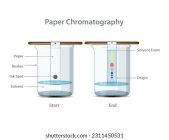 Paper chromatography analytical method. Chromatography is a chemical laboratory technique for the separation of a mixture into its individual components.