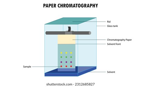 Paper chromatography diagram, lab test