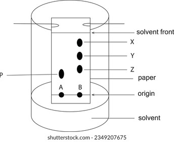 paper chromatography of ink diagram for separation technique for chemistry education