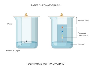 Paper chromatography separates components based on their affinity for the mobile phase, migrating through a stationary phase on paper, revealing distinct patterns.