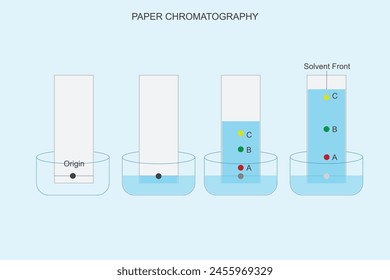 Paper chromatography separates components based on their affinity for the mobile phase, migrating through a stationary phase on paper, revealing distinct patterns.