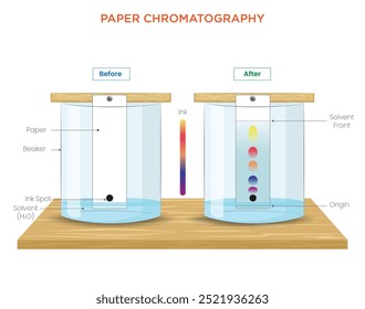 Paper chromatography separates mixtures by passing them through paper. The diagram shows solvent travel, separation of pigments, and Rf calculation.