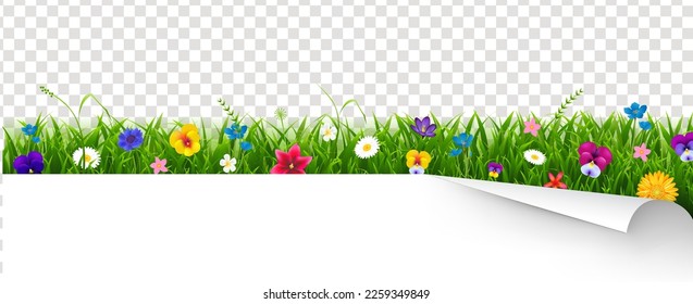 Paper With Corner And Flower Border Transparent Background With Gradient Mesh, Vector Illustration