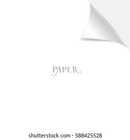 Paper Corner Folds. Vector illustration