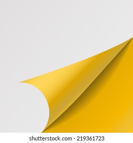 paper corners. Vector illustration