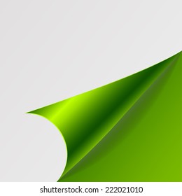 paper corners. Vector illustration
