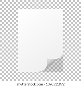 Paper curl on a isolated background with shadow - vector illustration design