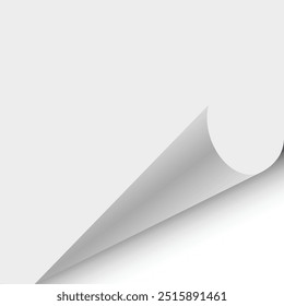Papel Com Design De Vetor De Fundo De Canto Enrolado.