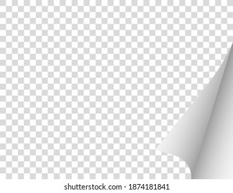 Paper with a curled edge. Vector illustration.